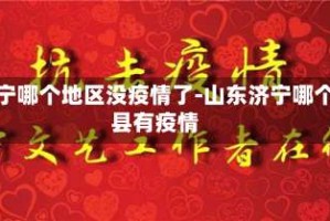 济宁哪个地区没疫情了-山东济宁哪个县有疫情