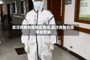 武汉疫情分险地区查询,武汉疫情风险等级查询