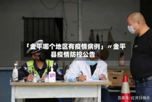 「金平哪个地区有疫情病例」〃金平县疫情防控公告
