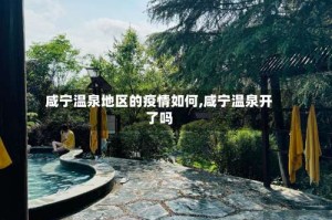 咸宁温泉地区的疫情如何,咸宁温泉开了吗