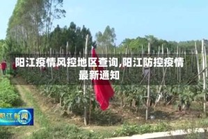 阳江疫情风控地区查询,阳江防控疫情最新通知
