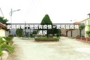 武鸣有哪个地区有疫情〃武鸣区疫情通报