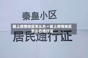 碰上疫情地区怎么办〃碰上疫情地区怎么办通行证