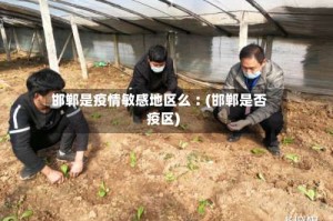 邯郸是疫情敏感地区么︰(邯郸是否疫区)