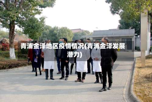 青浦金泽地区疫情情况(青浦金泽发展潜力)-第2张图片