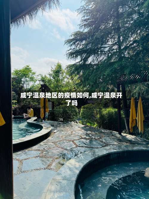 咸宁温泉地区的疫情如何,咸宁温泉开了吗-第1张图片