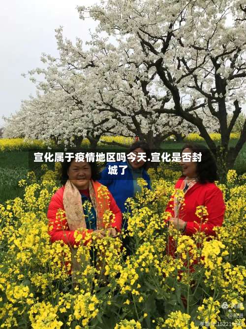 宣化属于疫情地区吗今天.宣化是否封城了-第3张图片