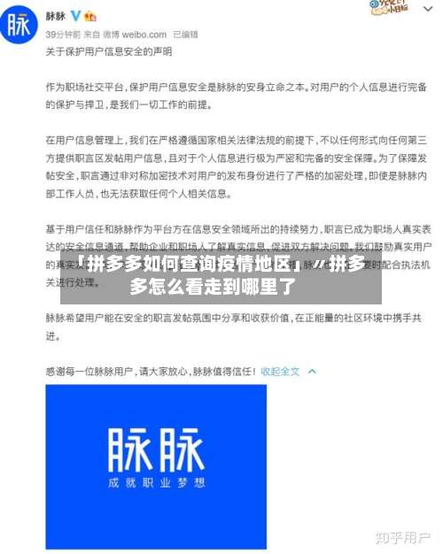 「拼多多如何查询疫情地区」〃拼多多怎么看走到哪里了-第3张图片