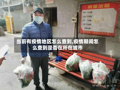 当前有疫情地区怎么查到,疫情期间怎么查到是否在所在城市-第3张图片
