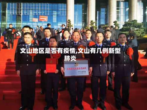 文山地区是否有疫情,文山有几例新型肺炎-第1张图片