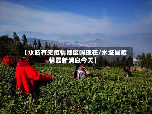 【水城有无疫情地区吗现在/水城县疫情最新消息今天】-第3张图片