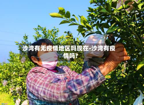 沙湾有无疫情地区吗现在-沙湾有疫情吗?-第2张图片