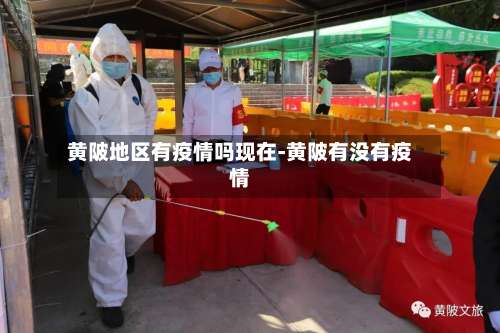黄陂地区有疫情吗现在-黄陂有没有疫情-第1张图片