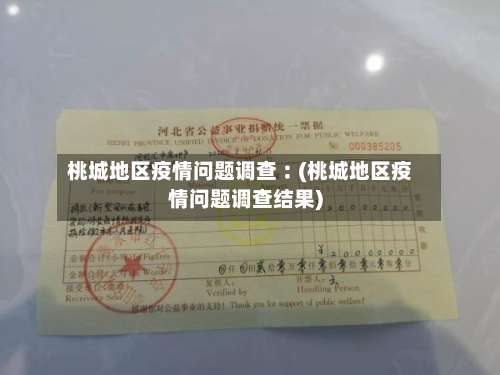 桃城地区疫情问题调查︰(桃城地区疫情问题调查结果)-第1张图片