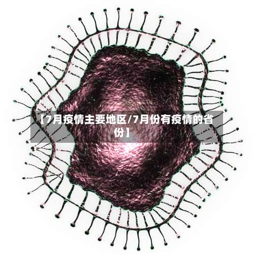 【7月疫情主要地区/7月份有疫情的省份】-第2张图片