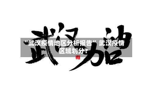 “武汉疫情地区分析报告” 武汉疫情区域划分？-第2张图片