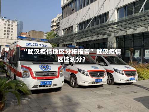 “武汉疫情地区分析报告	” 武汉疫情区域划分？-第3张图片