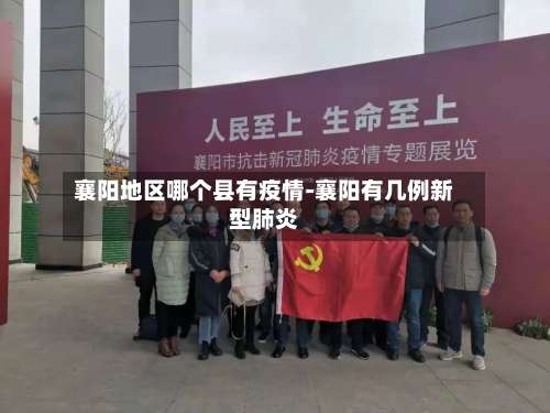 襄阳地区哪个县有疫情-襄阳有几例新型肺炎-第1张图片