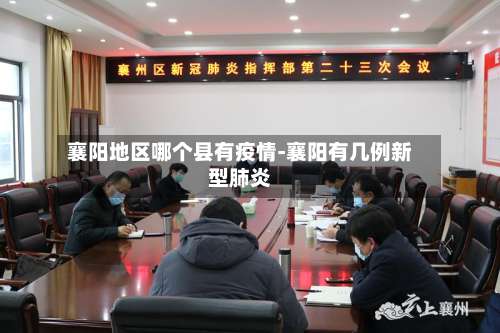 襄阳地区哪个县有疫情-襄阳有几例新型肺炎-第3张图片