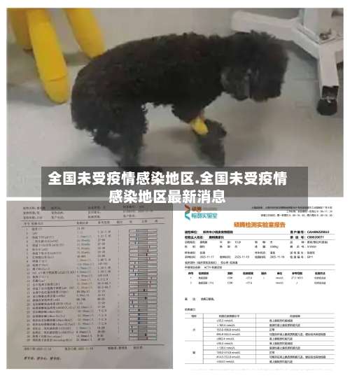 全国未受疫情感染地区.全国未受疫情感染地区最新消息-第1张图片