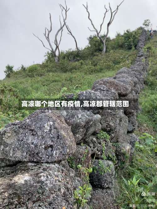 高凉哪个地区有疫情,高凉郡管辖范围-第2张图片