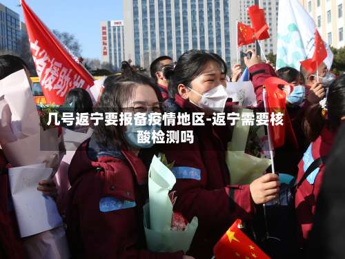 几号返宁要报备疫情地区-返宁需要核酸检测吗-第1张图片