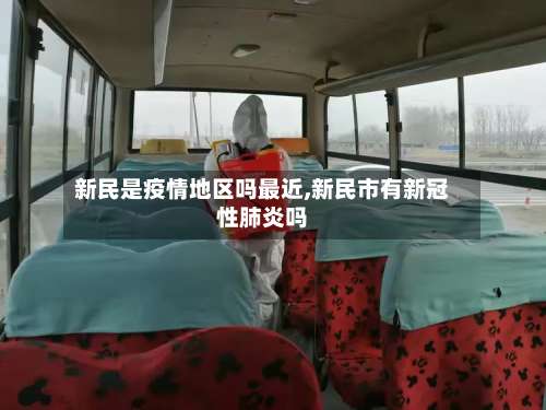 新民是疫情地区吗最近,新民市有新冠性肺炎吗-第2张图片
