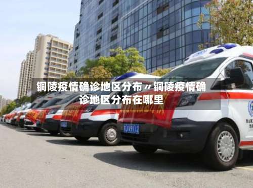 铜陵疫情确诊地区分布〃铜陵疫情确诊地区分布在哪里-第3张图片