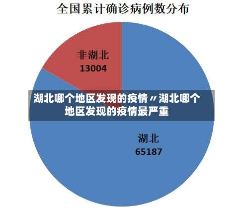湖北哪个地区发现的疫情〃湖北哪个地区发现的疫情最严重-第2张图片
